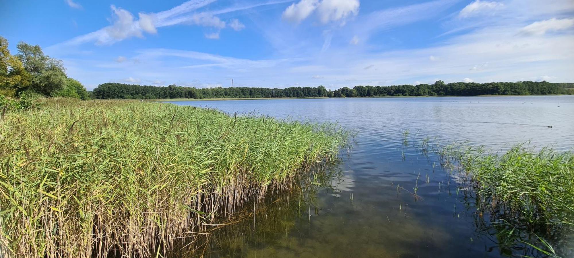 Ferienhof Am Kaebelicksee Kratzeburg Ngoại thất bức ảnh